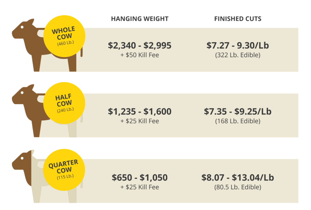 How Much is a Cow Cost? A Comprehensive Look at Cow Prices