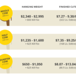 How Much is a Cow Cost? A Comprehensive Look at Cow Prices